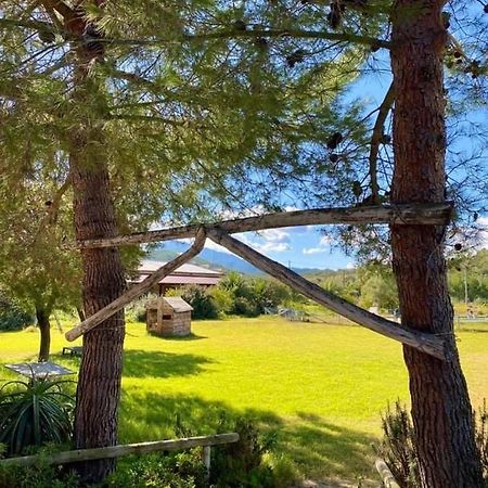 Agriturismo Su Niu Uta Экстерьер фото